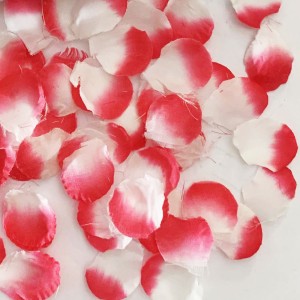 Lança Confete Boa Sorte Ref. 7211