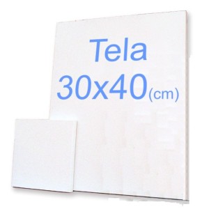 TELA P/PINTURA 30X40
