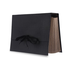 PASTA SANFONADA DUPLICATA A/Z 31 DIV KRAFT PRETA REF-0701-P