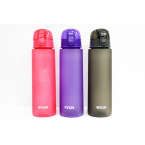 GARRAFA PLASTICA C/TRAVA 25,5X7,5CM 800ML