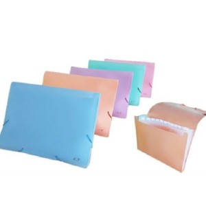 PASTA SANFONADA A4 12 DIVISÕES  LILÁS PASTEL